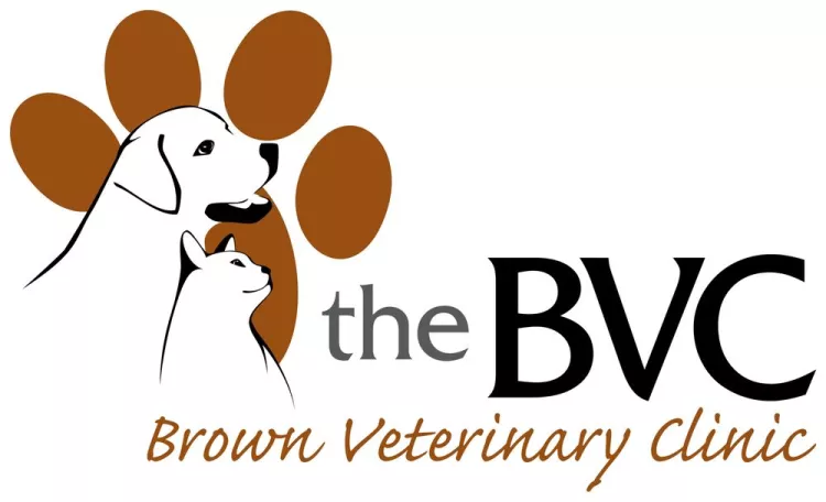 Brown Veterinary Clinic, Florida, Naples